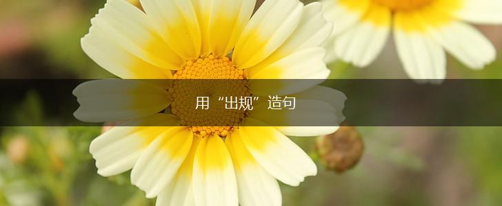 用“出规”造句,第1张