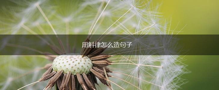 用斛律怎么造句子,第1张