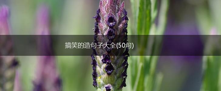 搞笑的造句子大全(50句),第1张