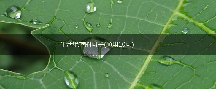 生活绝望的句子(通用10句),第1张