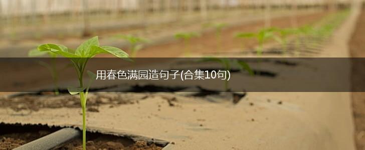 用春色满园造句子(合集10句),第1张