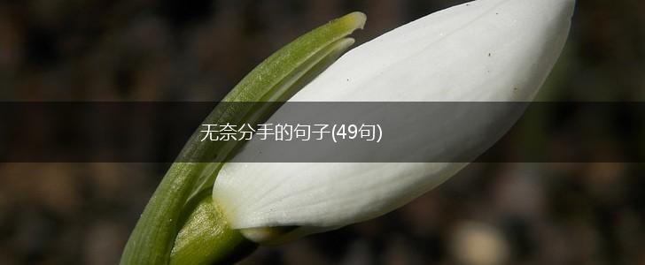 无奈分手的句子(49句),第1张