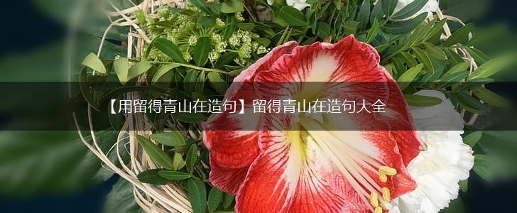 【用留得青山在造句】留得青山在造句大全,第1张