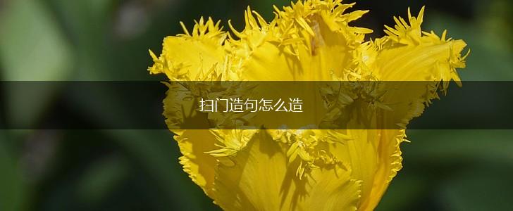 扫门造句怎么造,第1张