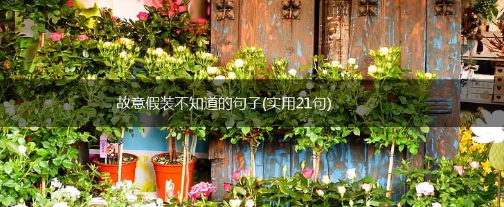 故意假装不知道的句子(实用21句),第1张