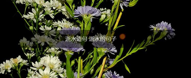 逝水造句 逝水的句子,第1张