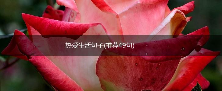 热爱生活句子(推荐49句),第1张