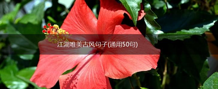 江湖唯美古风句子(通用50句),第1张