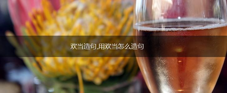 欢当造句,用欢当怎么造句,第1张