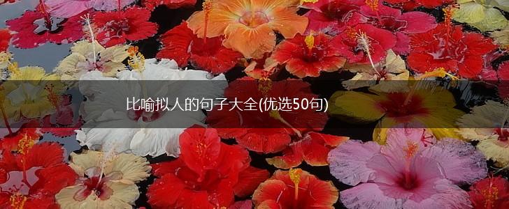 比喻拟人的句子大全(优选50句),第1张