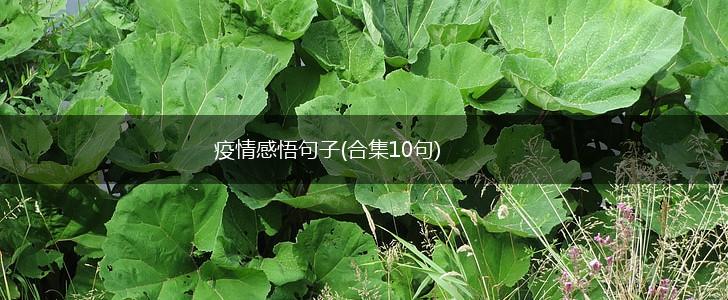 疫情感悟句子(合集10句),第1张