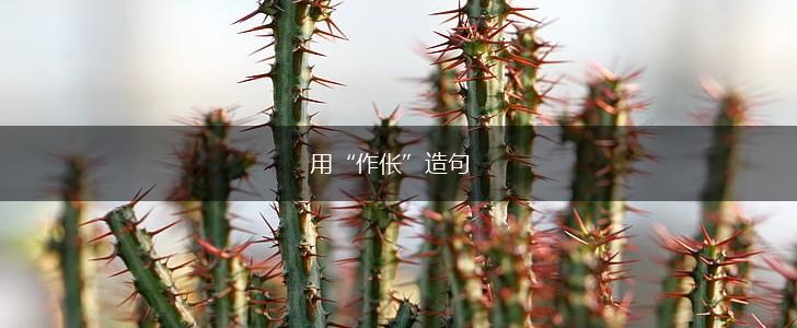 用“作伥”造句,第1张 用“作伥”造句,第1张