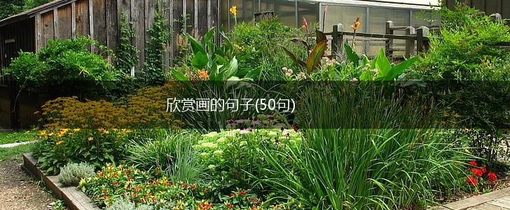欣赏画的句子(50句),第1张