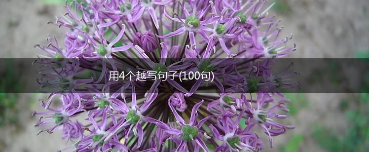 用4个越写句子(100句),第1张