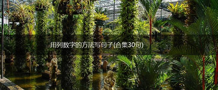 用列数字的方法写句子(合集30句),第1张