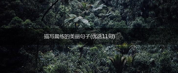 描写晨练的美丽句子(优选11句),第1张