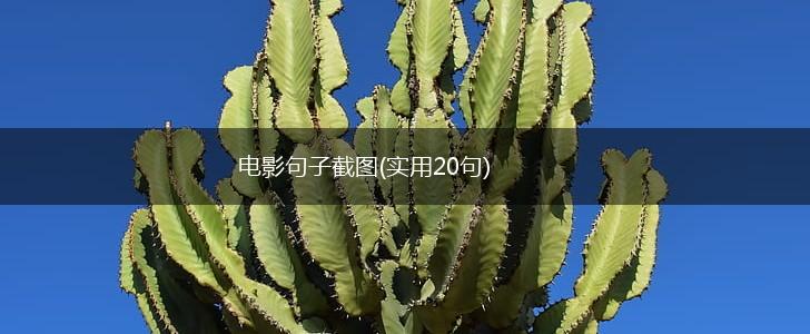 电影句子截图(实用20句),第1张