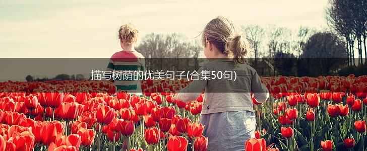 描写树荫的优美句子(合集50句),第1张