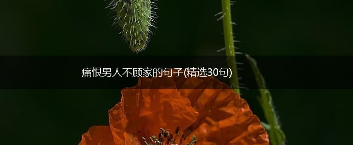 痛恨男人不顾家的句子(精选30句),第1张