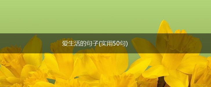 爱生活的句子(实用50句),第1张