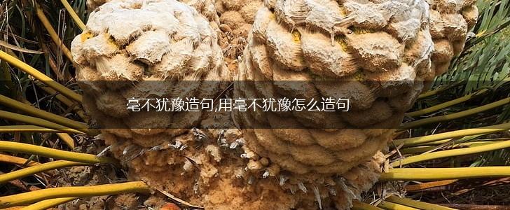 毫不犹豫造句,用毫不犹豫怎么造句,第1张 毫不犹豫造句,用毫不犹豫怎么造句,第1张