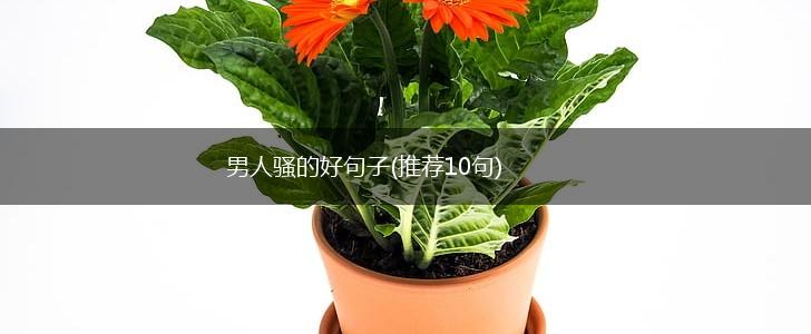 男人骚的好句子(推荐10句),第1张