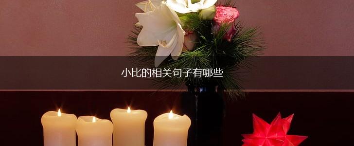 小比的相关句子有哪些,第1张 小比的相关句子有哪些,第1张