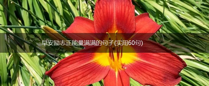 早安励志正能量满满的句子(实用60句),第1张
