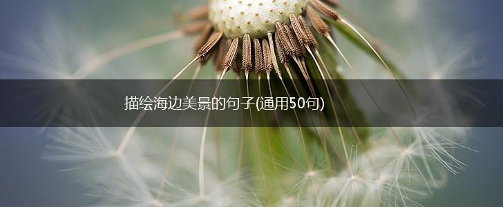 描绘海边美景的句子(通用50句),第1张