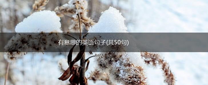 有意思的英语句子(共50句),第1张