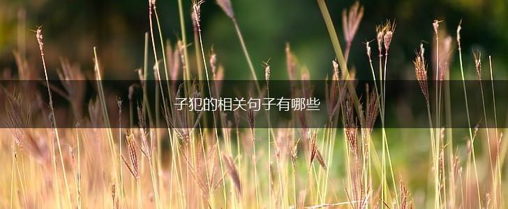 子犯的相关句子有哪些,第1张 子犯的相关句子有哪些,第1张