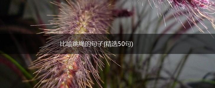比喻跳绳的句子(精选50句),第1张