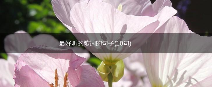 最好听的歌词的句子(10句),第1张