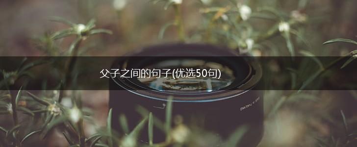 父子之间的句子(优选50句),第1张