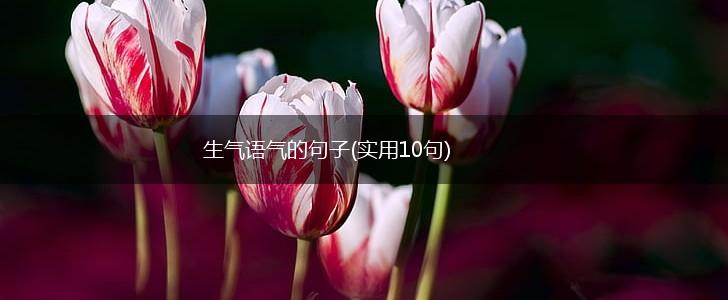 生气语气的句子(实用10句),第1张