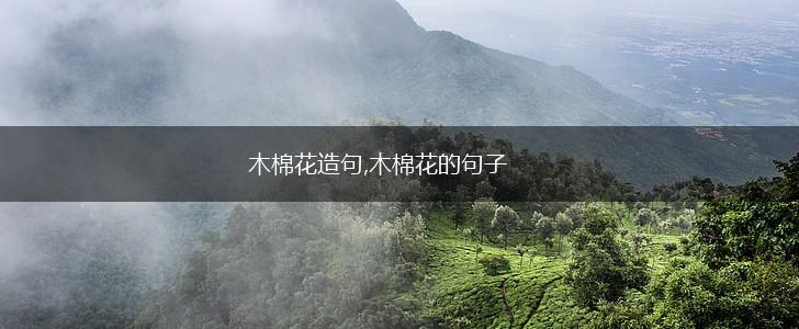 木棉花造句,木棉花的句子,第1张