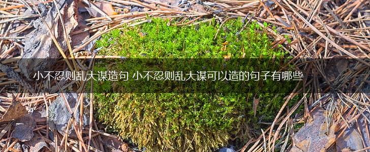 小不忍则乱大谋造句 小不忍则乱大谋可以造的句子有哪些,第1张