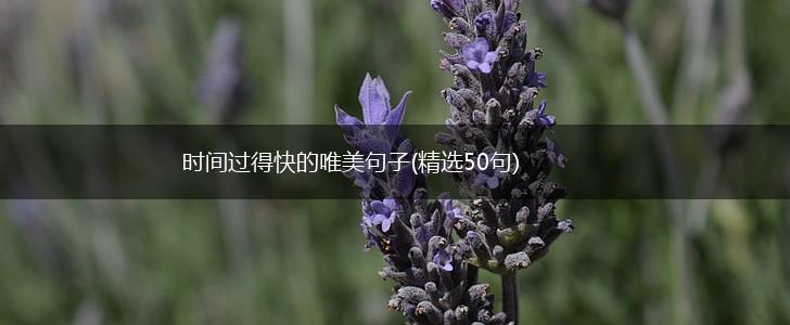 时间过得快的唯美句子(精选50句),第1张