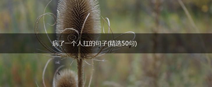 病了一个人扛的句子(精选50句),第1张