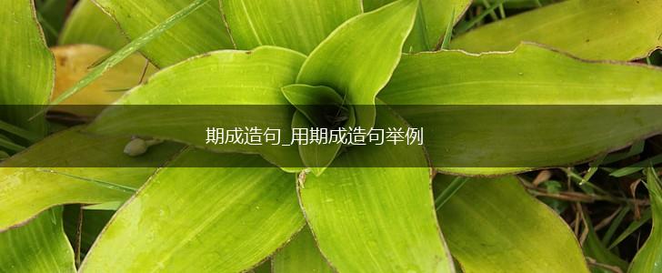 期成造句_用期成造句举例,第1张 期成造句_用期成造句举例,第1张