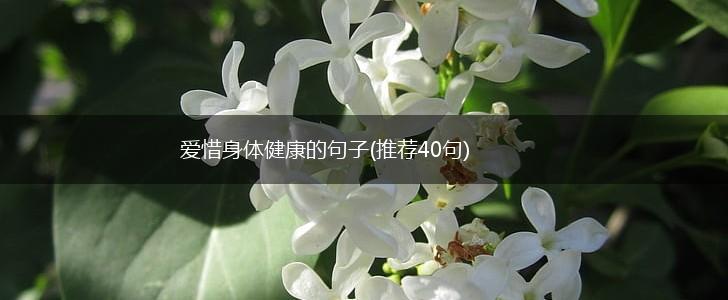 爱惜身体健康的句子(推荐40句),第1张
