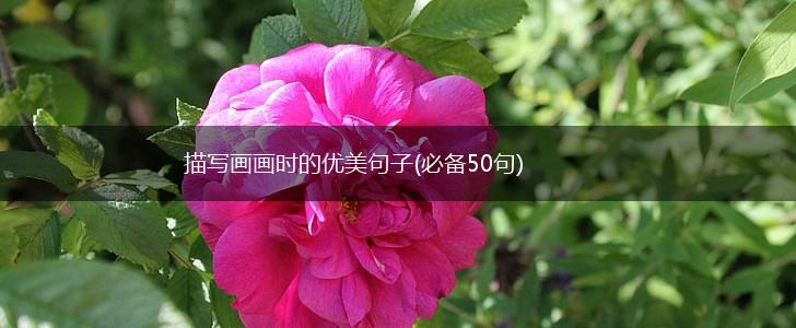 描写画画时的优美句子(必备50句),第1张