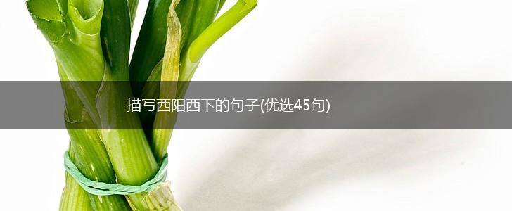 描写西阳西下的句子(优选45句),第1张