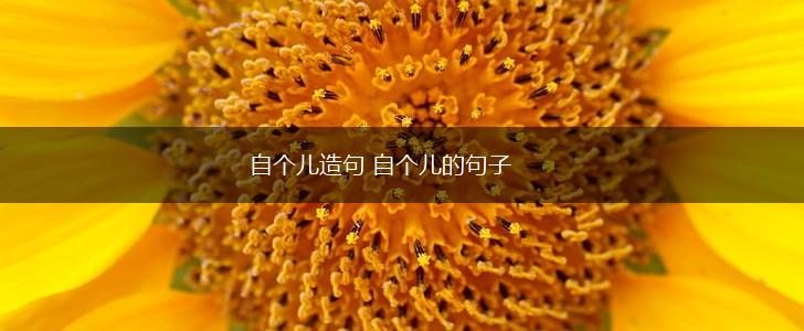 自个儿造句 自个儿的句子,第1张 自个儿造句 自个儿的句子,第1张