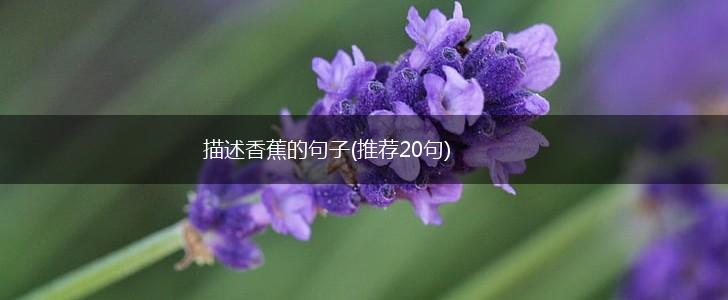 描述香蕉的句子(推荐20句),第1张