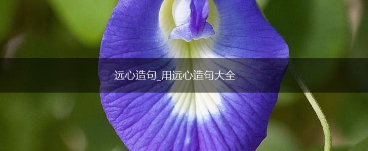 远心造句_用远心造句大全,第1张