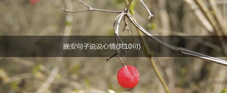 晚安句子说说心情(共10句),第1张