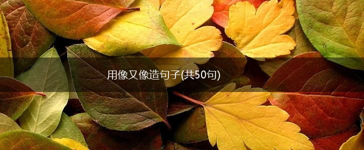 用像又像造句子(共50句),第1张
