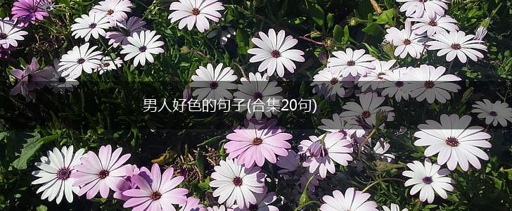 男人好色的句子(合集20句),第1张