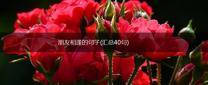朋友相逢的句子(汇总40句),第1张